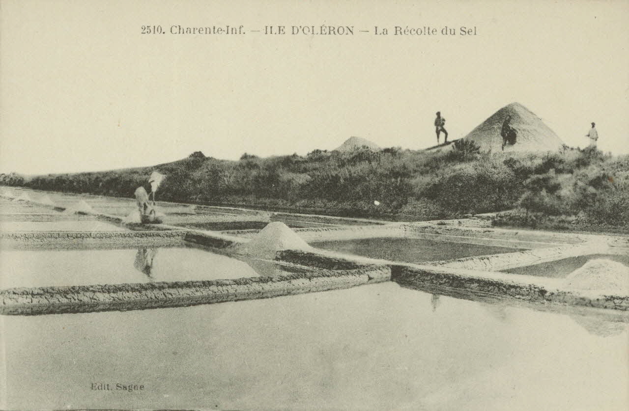 carte postale ILE D'OLERON, LA RECOLTE DU SEL 1903-1920 010447 Photo