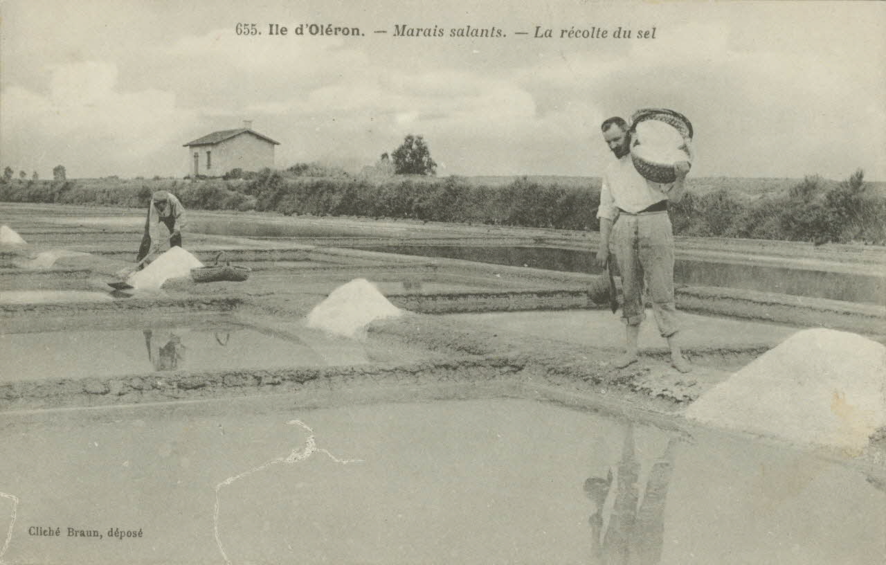 carte postale MARAIS SALANTS, LA RECOLTE DU SEL 1903-1920 010448 Photo