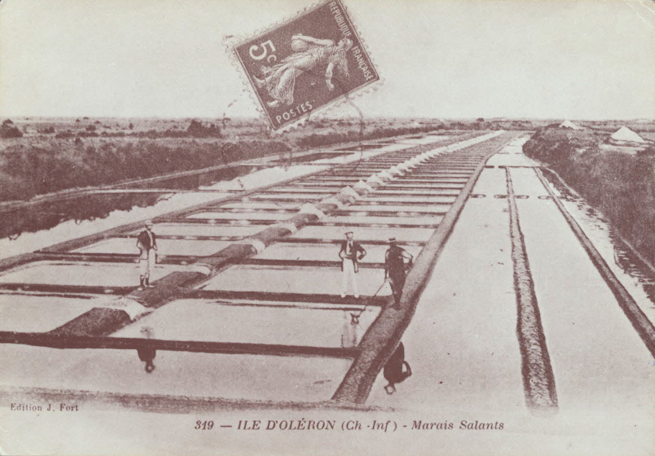 carte postale ILE D'OLERON, MARAIS SALANTS 1950 010449 Photo