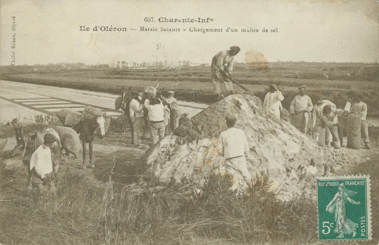 carte postale CHARGEMENT D'UN MULON DE SEL Charente-Maritime 1911 010450 Photo