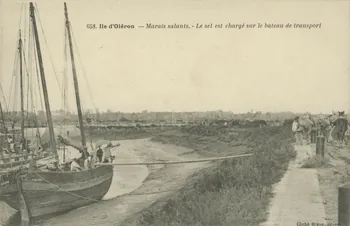 carte postale LE SEL EST CHARGE SUR LE BATEAU Charente-Maritime 1903-1920 010451  Photo