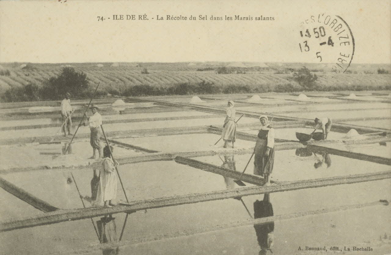 carte postale LA RECOLTE DU SEL DANS LES MARAIS 1915 010452 Photo