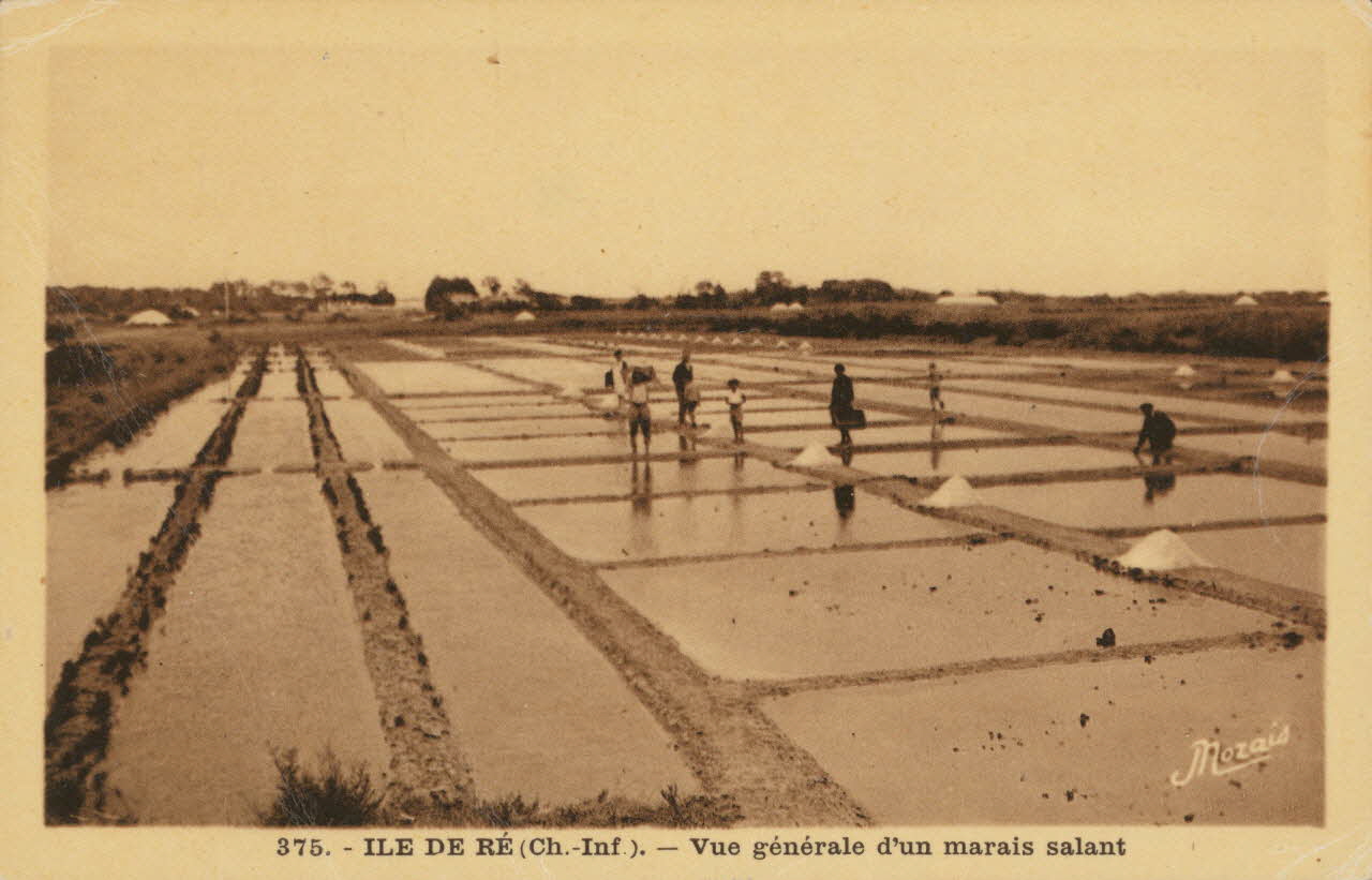 carte postale VUE GENERALE D'UN MARAIS SALANT 1935 010453 Photo