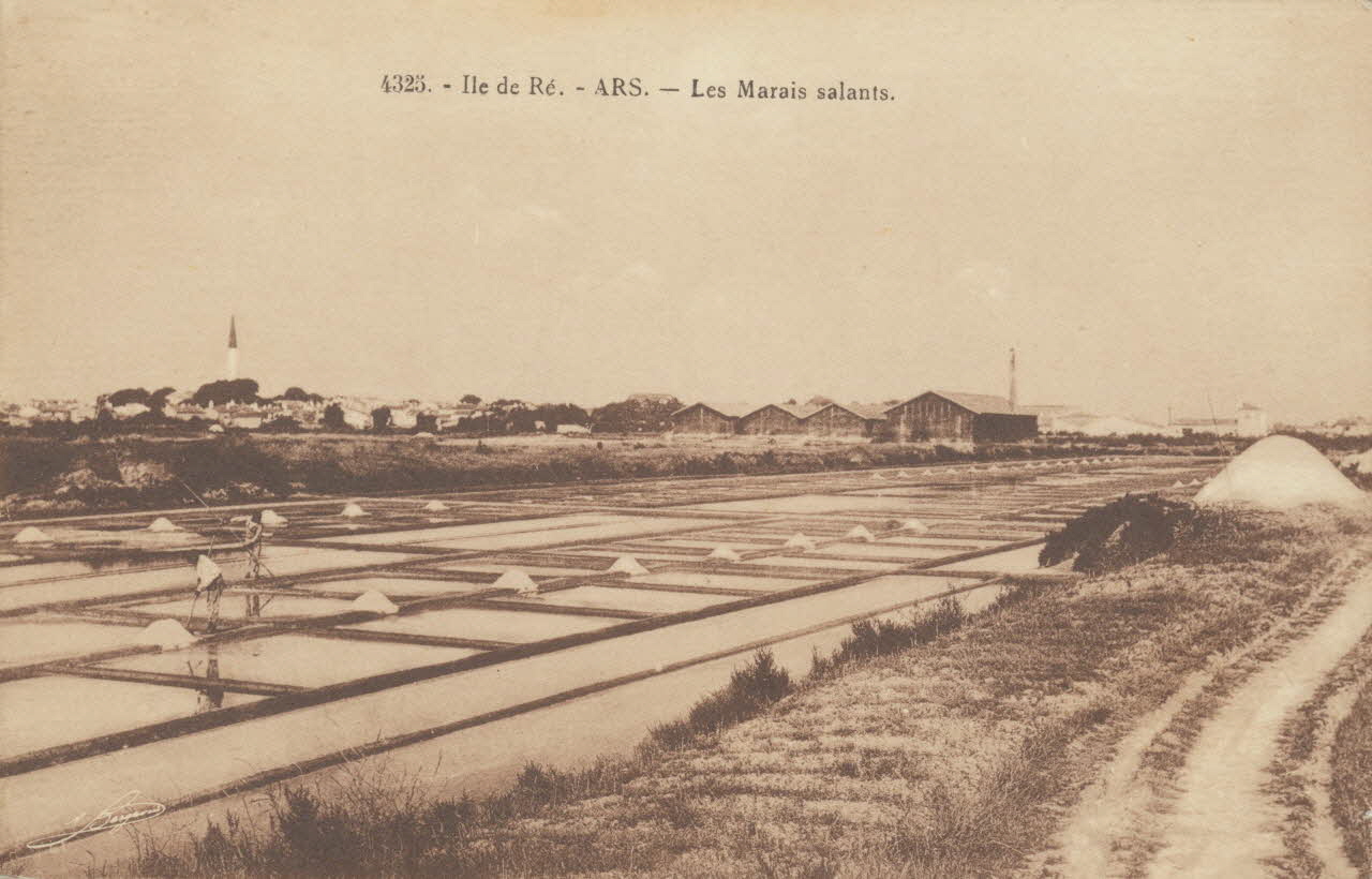 carte postale LES MARAIS SALANTS Charente-Maritime 1903-1920 010454 Photo