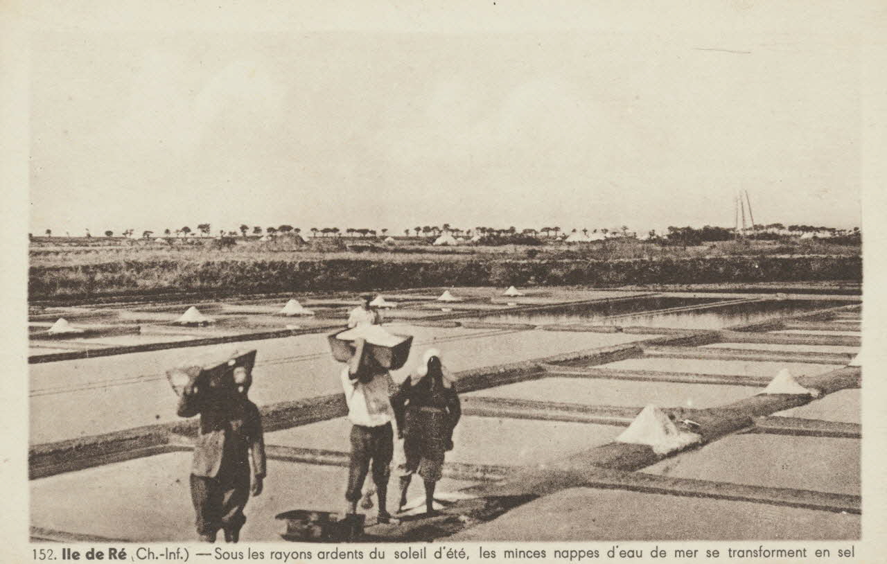 carte postale L'EAU DE MER SE TRANSFORME EN SEL 1903-1920 010455 Photo