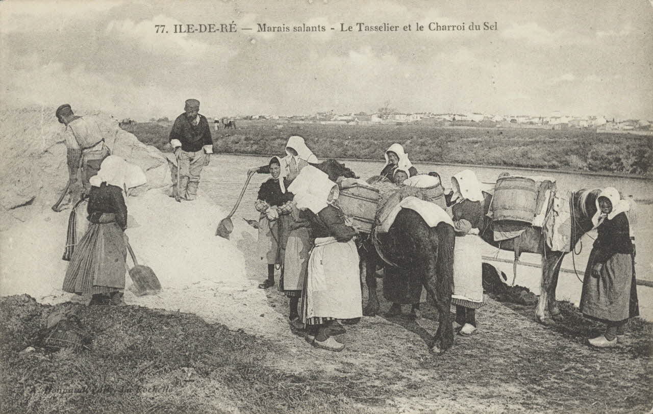 carte postale LE TASSELIER ET LE CHARROI DU SEL 1903-1920 010457 Photo