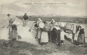 carte postale LE TASSELIER ET LE CHARROI DU SEL 1903-1920 010457  Photo
