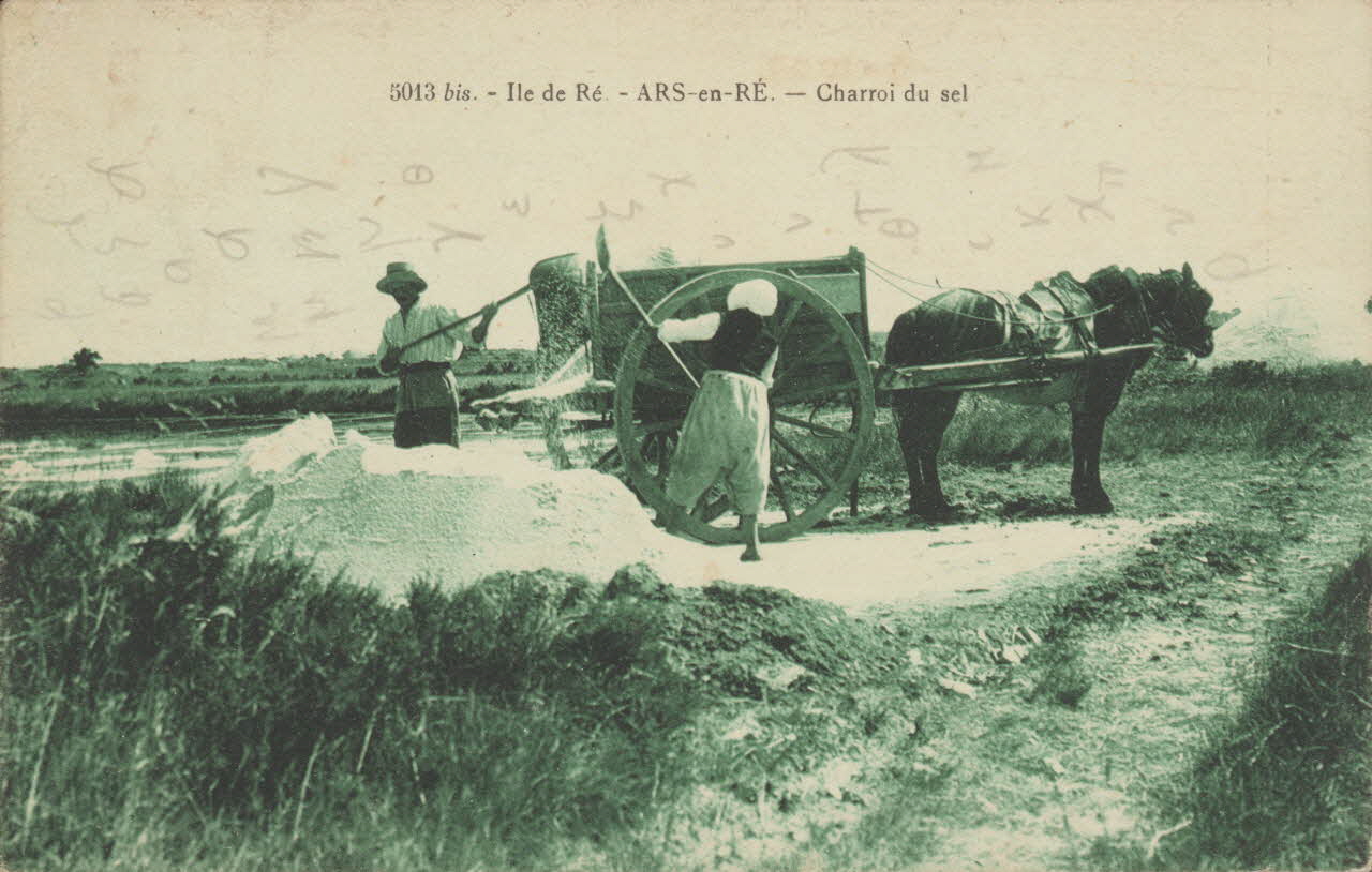 carte postale ARS-EN-RE, CHARROI DU SEL Charente-Maritime 1927 010459 Photo