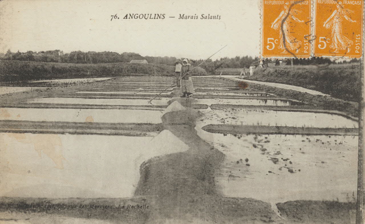 carte postale ANGOULINS. MARAIS SALANTS Charente-Maritime 1922 010460 Photo