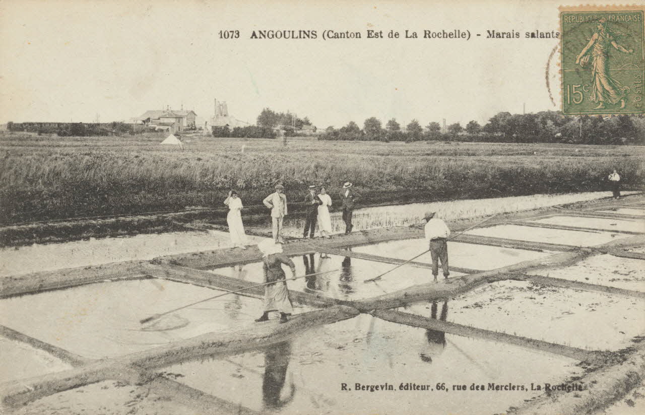 carte postale ANGOULINS. MARAIS SALANTS Charente-Maritime 1903-1920 010461 Photo
