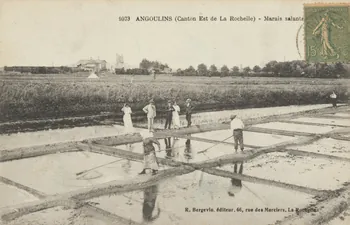carte postale ANGOULINS. MARAIS SALANTS Charente-Maritime 1903-1920 010461  Photo