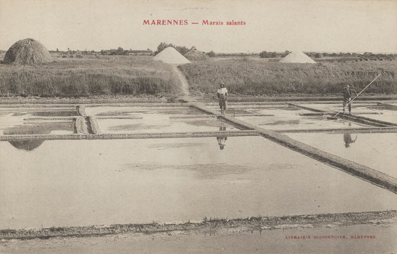 carte postale MARENNES. MARAIS SALANTS Charente-Maritime 1903-1920 010462 Photo