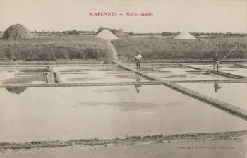 carte postale MARENNES. MARAIS SALANTS Charente-Maritime 1903-1920 010462  Photo