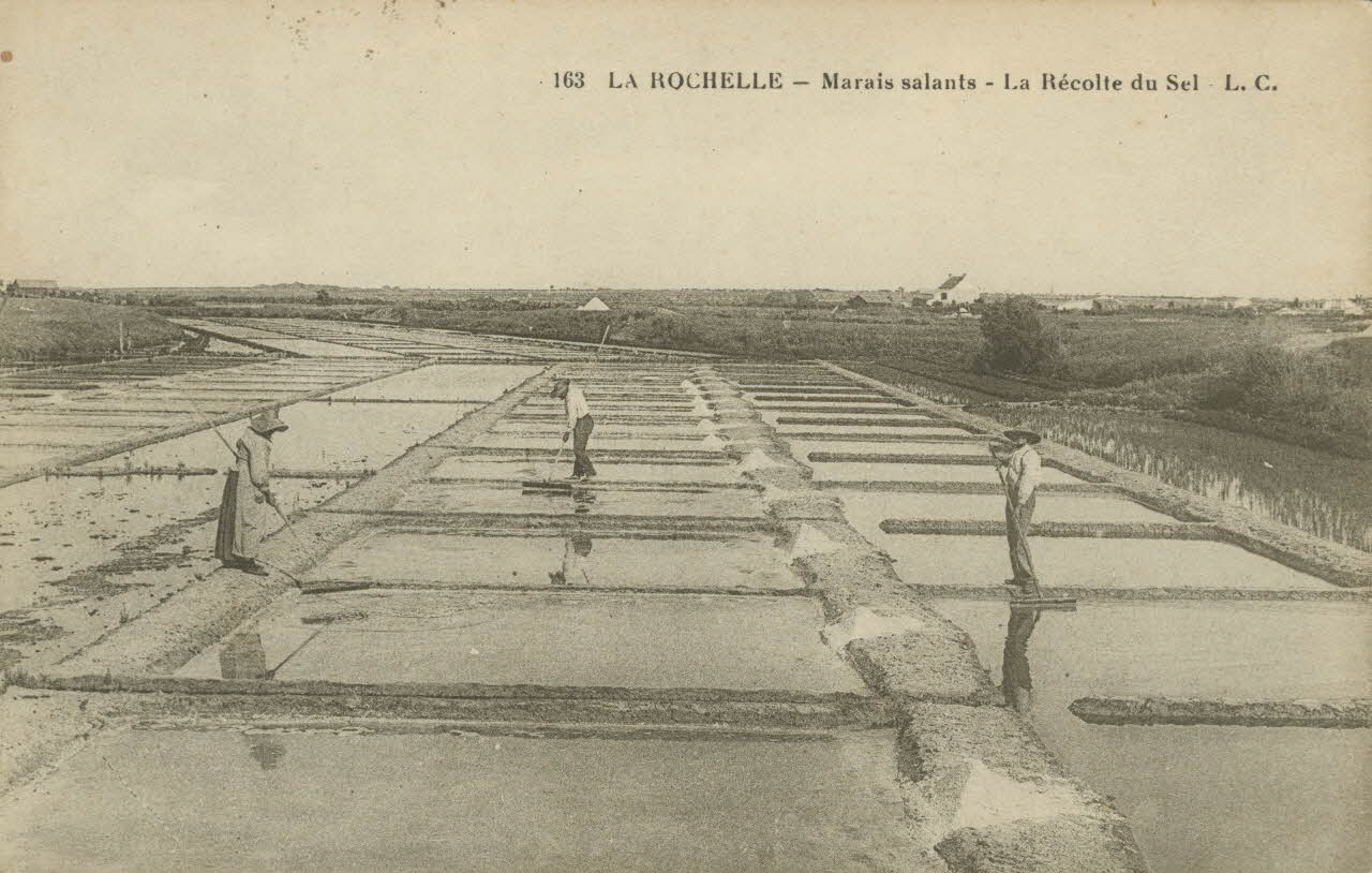 carte postale MARAIS SALANTS, LA RECOLTE DU SEL Charente-Maritime 1916 010463 Photo