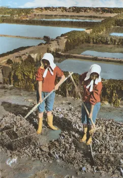 carte postale KISNOTIERES AU TRAVAIL 1921-1950 010464  Photo