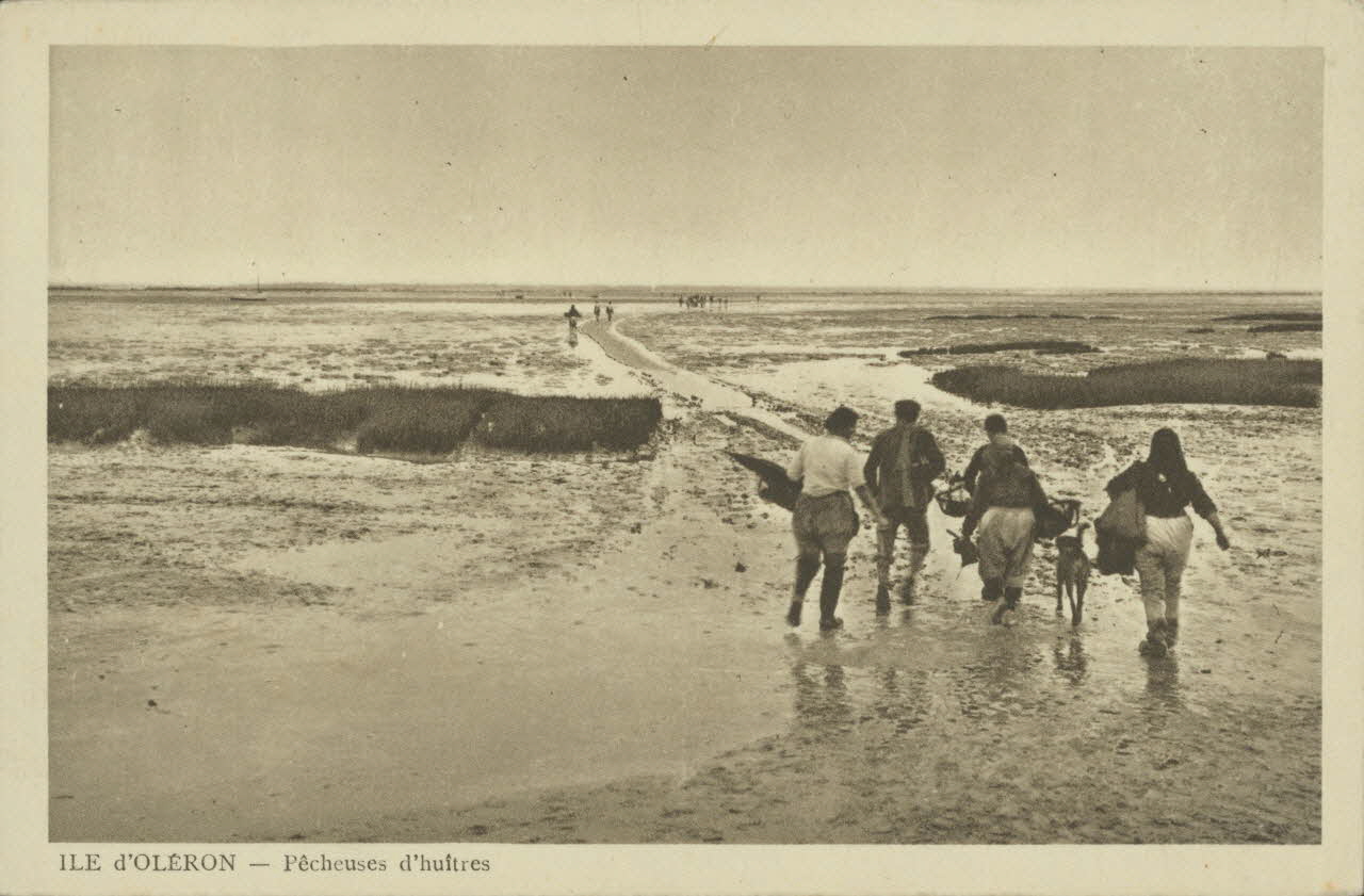 carte postale PECHEUSES D'HUITRES 1903-1920 010466 Photo