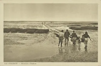 carte postale PECHEUSES D'HUITRES 1903-1920 010466  Photo