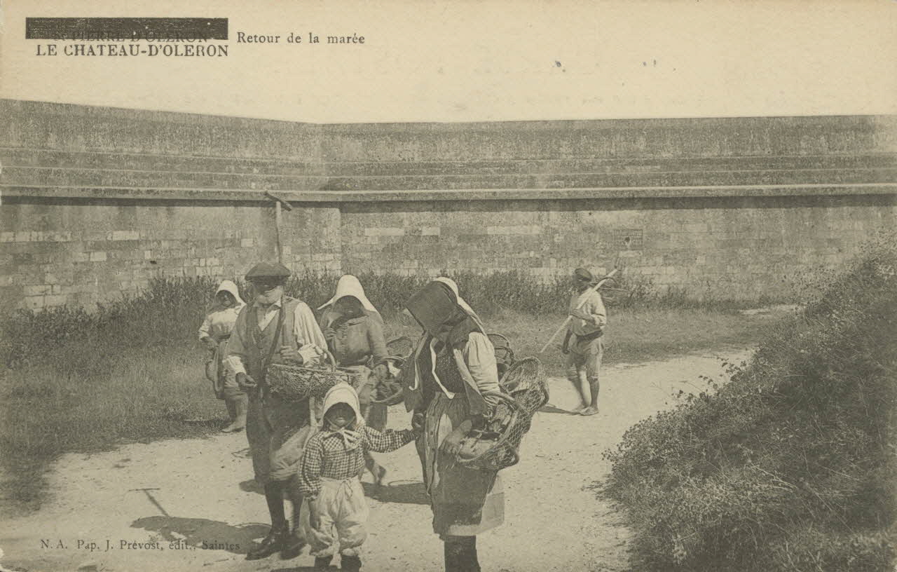 carte postale RETOUR DE LA MAREE Charente-Maritime 1903-1920 010468 Photo