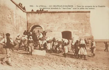 carte postale SOUS LES REMPARTS DE LA CITADELLE 1903-1920 010471  Photo