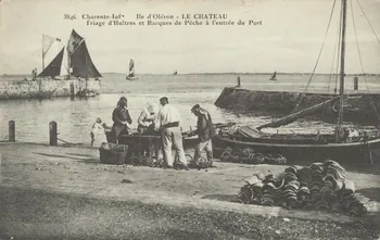 carte postale TRIAGE D'HUITRES ET BARQUES 1903-1920 010476  Photo