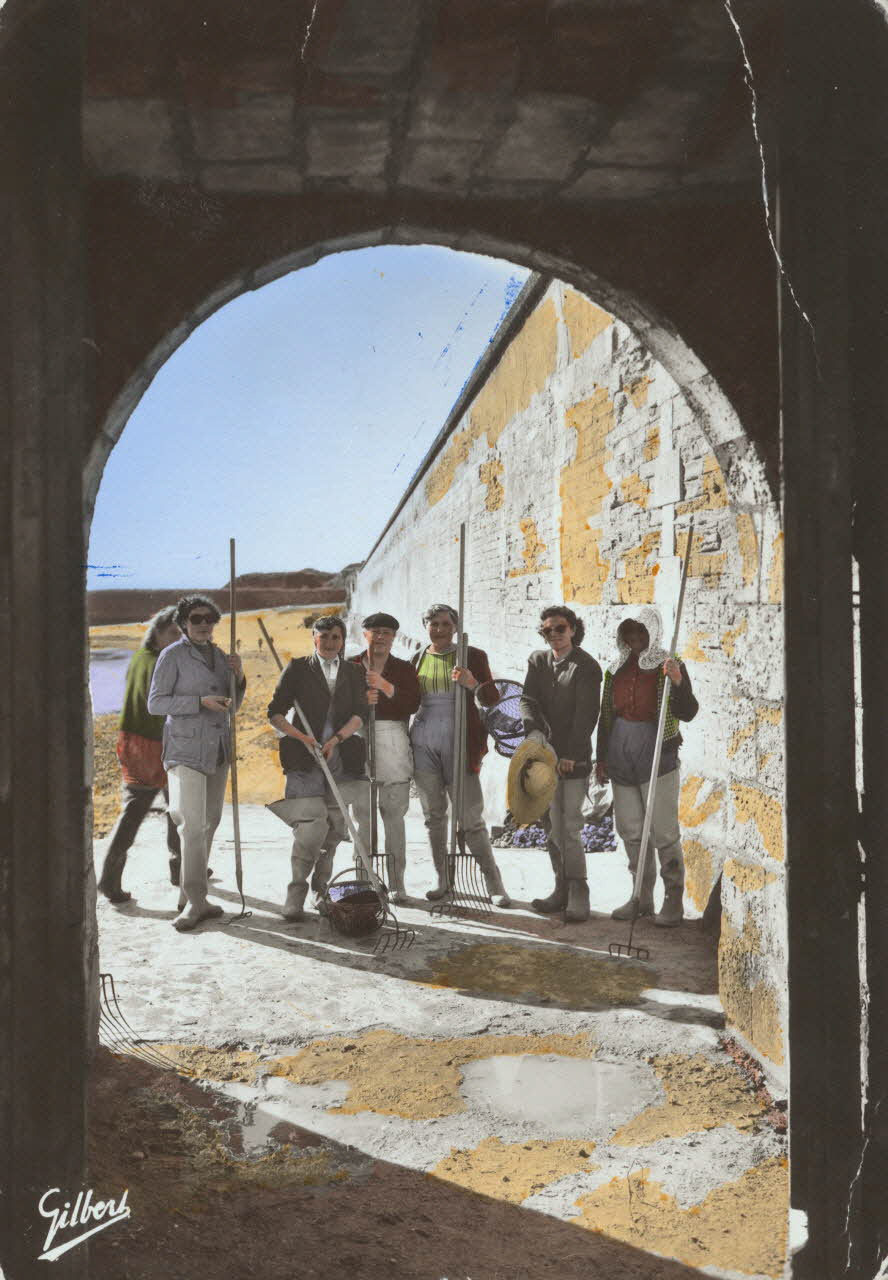 carte postale LE CHATEAU-PECHEUSES D'HUITRES Charente-Maritime 1950 010478 Photo