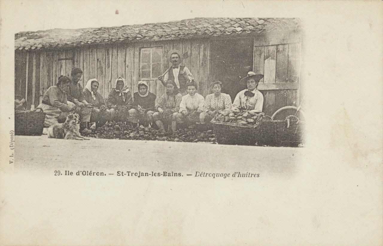 carte postale DETROQUAGE D'HUITRES 1903 010479 Photo