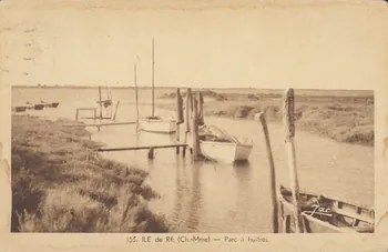 carte postale PARC A HUITRES 1952 010481  Photo