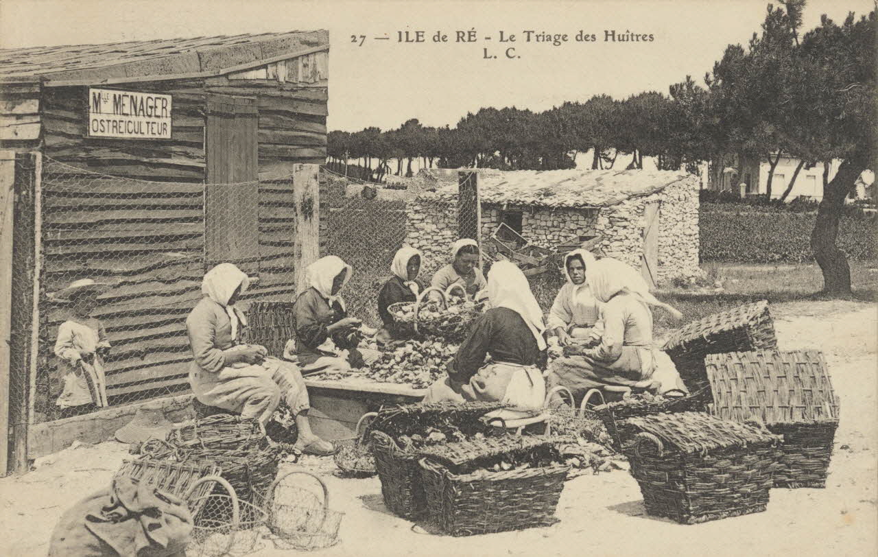 carte postale LE TRIAGE DES HUITRES 1903-1920 010482 Photo