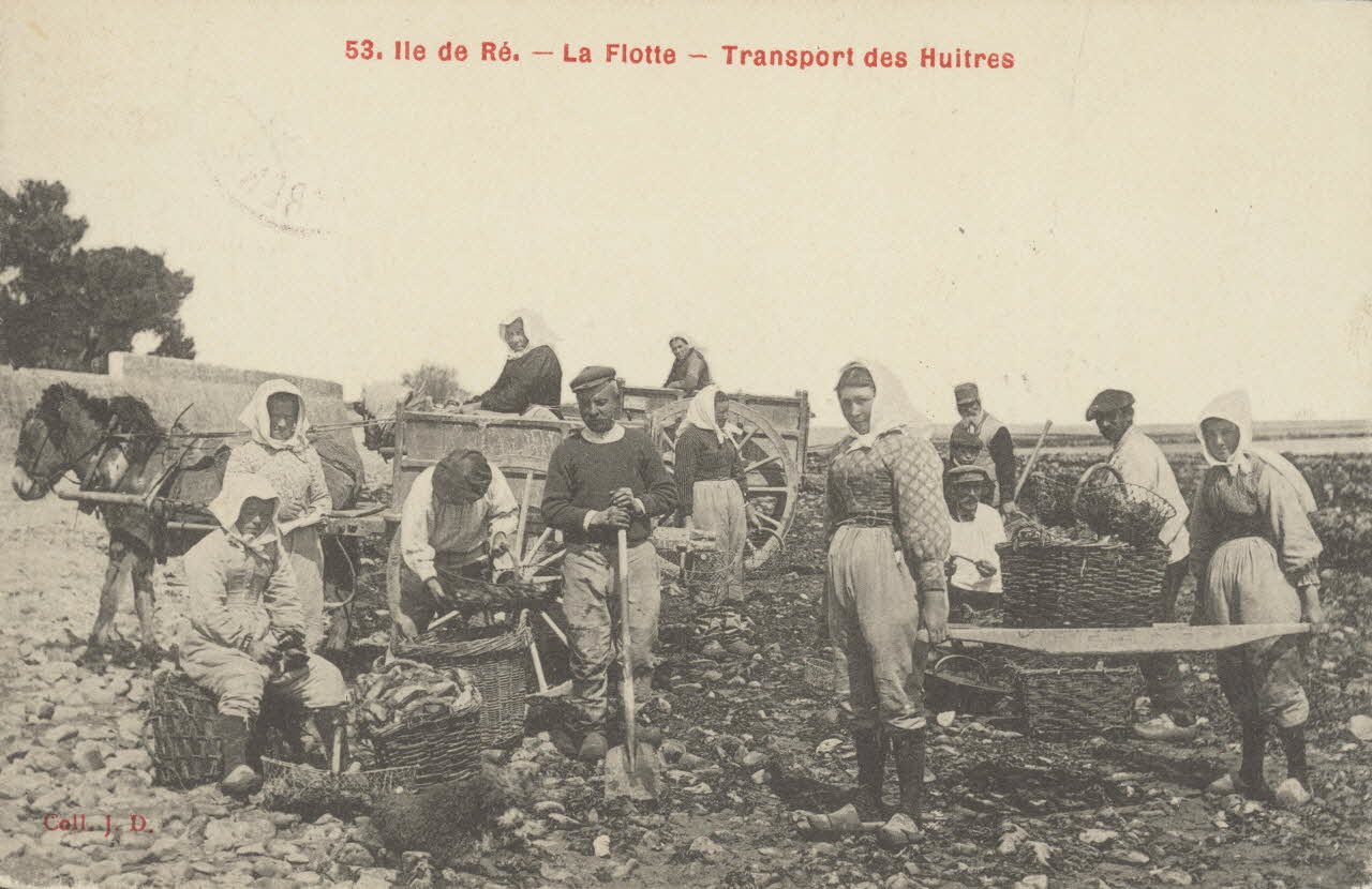 carte postale TRANSPORT DES HUITRES 1907 010484 Photo