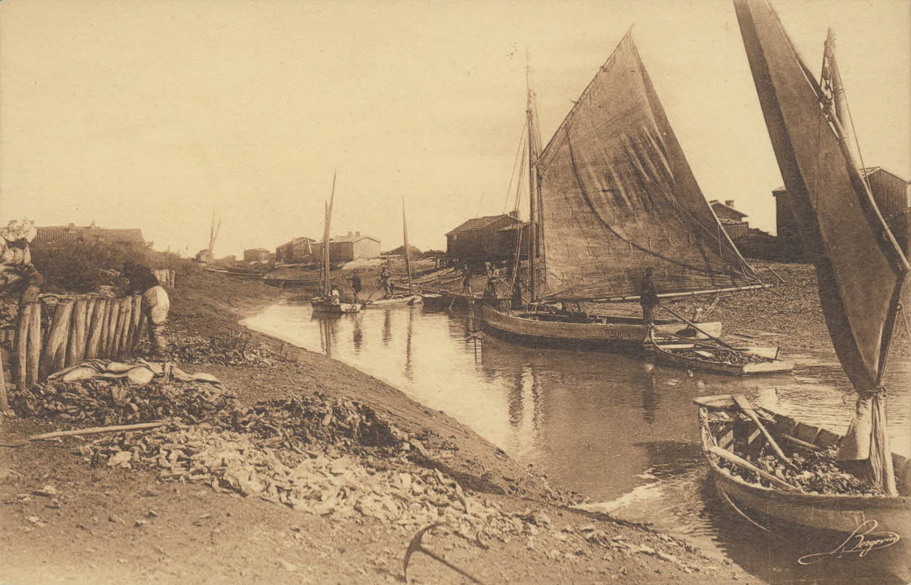 carte postale CHENAL, ETABLISSEMENTS OSTREICOLES Charente-Maritime 1903-1920 010488 Photo