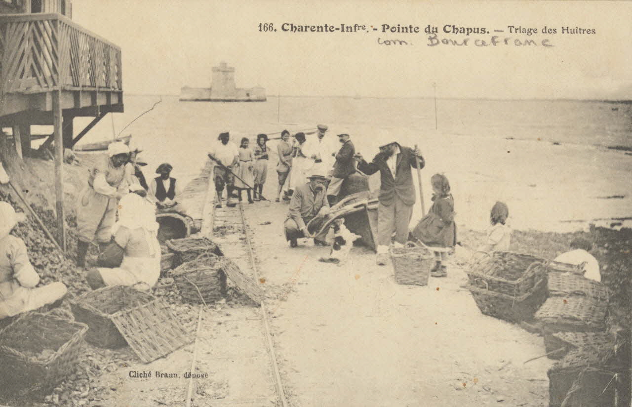 carte postale TRIAGE DES HUITRES Charente-Maritime 1903-1920 010490 Photo
