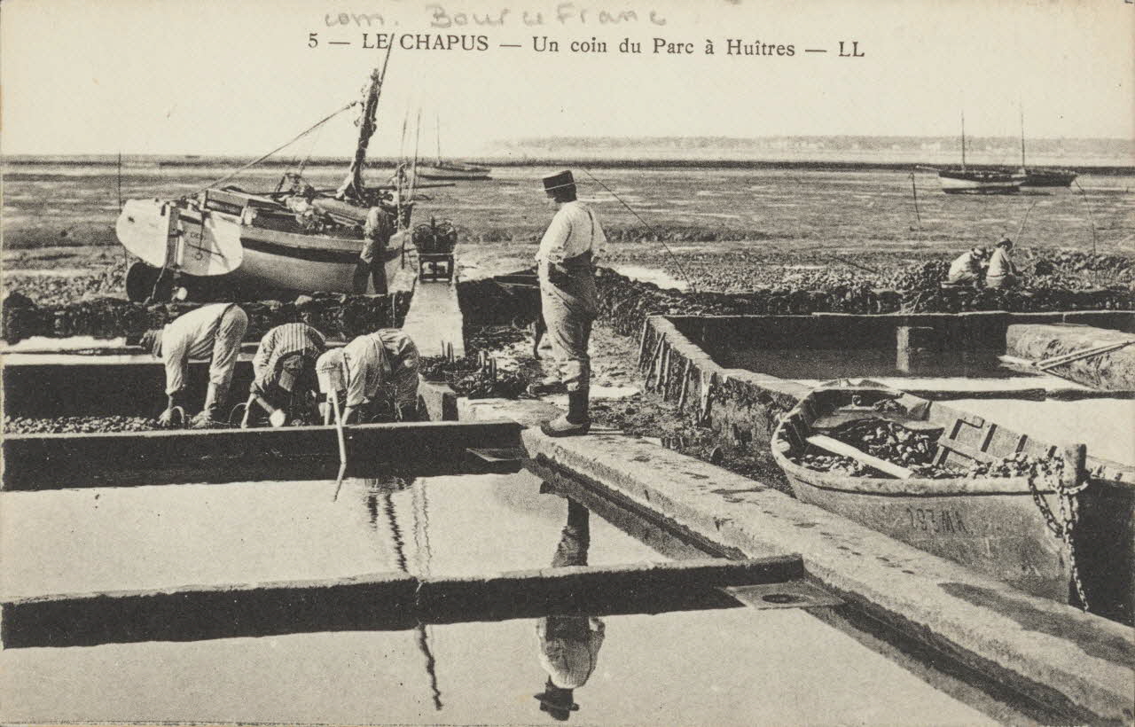carte postale UN COIN DU PARC A HUITRES Charente-Maritime 1903-1920 010492 Photo