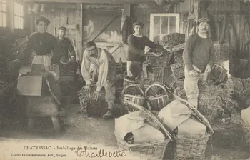 carte postale EMBALLAGE DES HUITRES Charente-Maritime 1915 010494 Photo