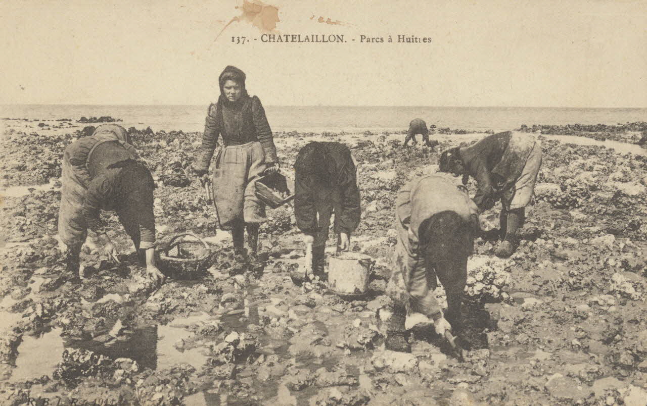 carte postale PARCS A HUITRES 1903-1920 010495 Photo