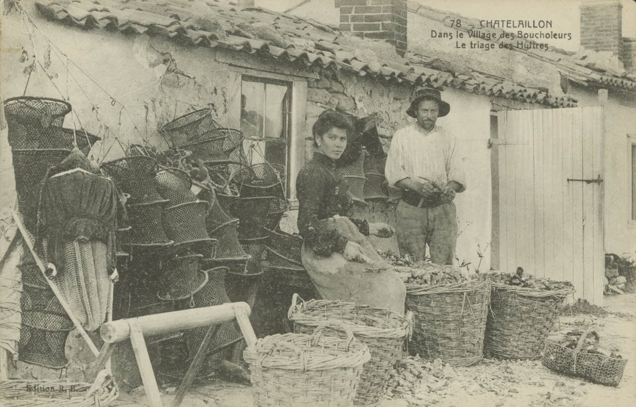 carte postale TRIAGE DES HUITRES, BOUCHOLEURS Charente-Maritime 1903-1920 010496 Photo