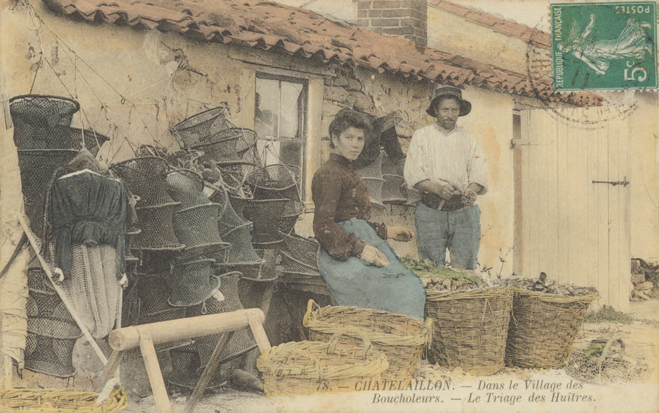carte postale TRIAGE DES HUITRES, BOUCHOLEURS Charente-Maritime 1903-1920 010498 Photo
