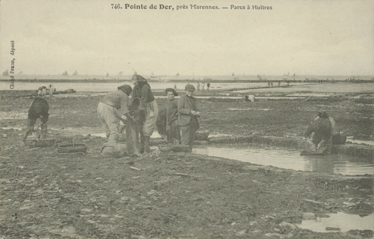 carte postale MARENNES. PARCS A HUITRES Charente-Maritime 1903-1920 010507 Photo