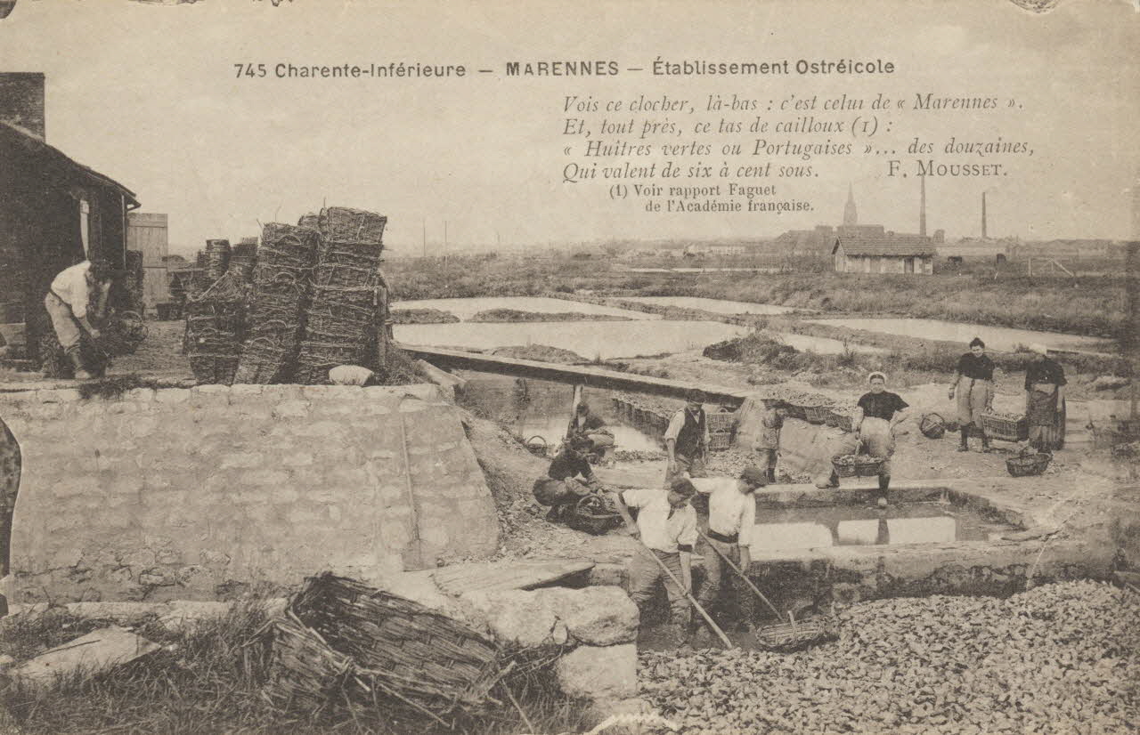 carte postale ETABLISSEMENT OSTREICOLE Charente-Maritime 1903-1920 010509 Photo