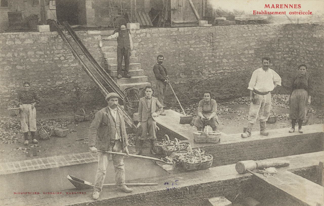 carte postale ETABLISSEMENT OSTREICOLE Charente-Maritime 1903-1920 010510 Photo