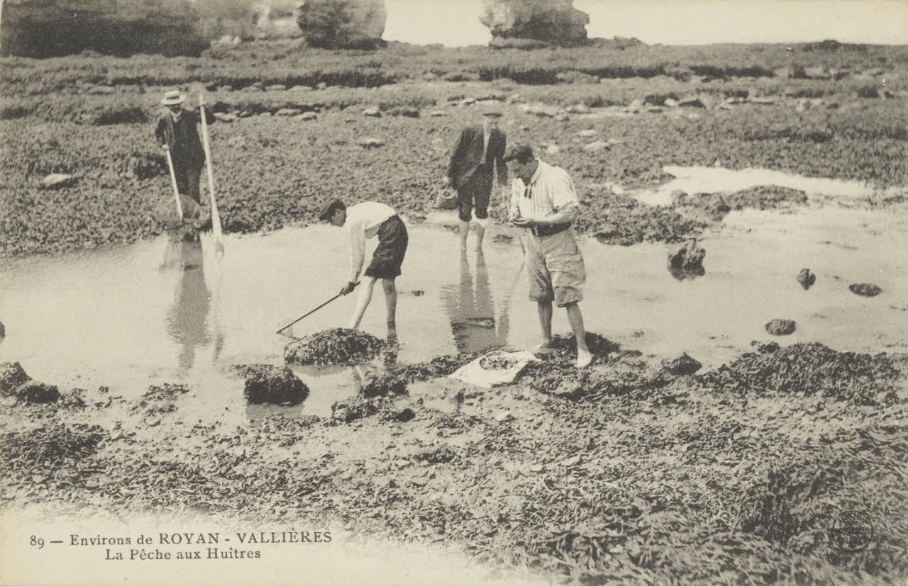 carte postale LA PECHE AUX HUITRES. VALLIERES Charente-Maritime 1903-1920 010516 Photo
