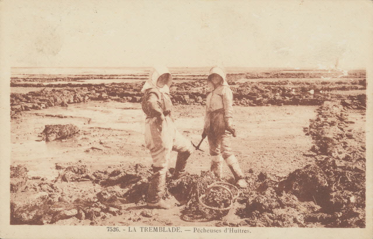 carte postale LA TREMBLADE. PECHEUSES D'HUITRES Charente-Maritime 1903-1920 010518 Photo