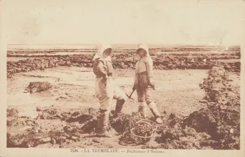 carte postale LA TREMBLADE. PECHEUSES D'HUITRES Charente-Maritime 1903-1920 010518 Photo