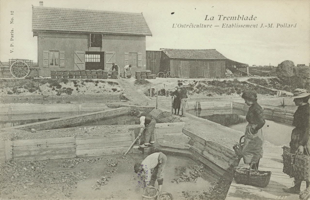 carte postale ETABLISSEMENT J. -M. POLLARD Charente-Maritime 1903-1920 010520 Photo