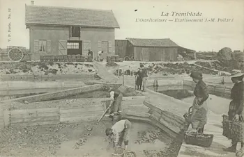 carte postale ETABLISSEMENT J. -M. POLLARD Charente-Maritime 1903-1920 010520 Photo