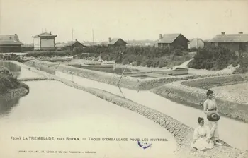 carte postale TROUS D'EMBALLAGE POUR LES HUITRES Charente-Maritime 1903 010522 Photo