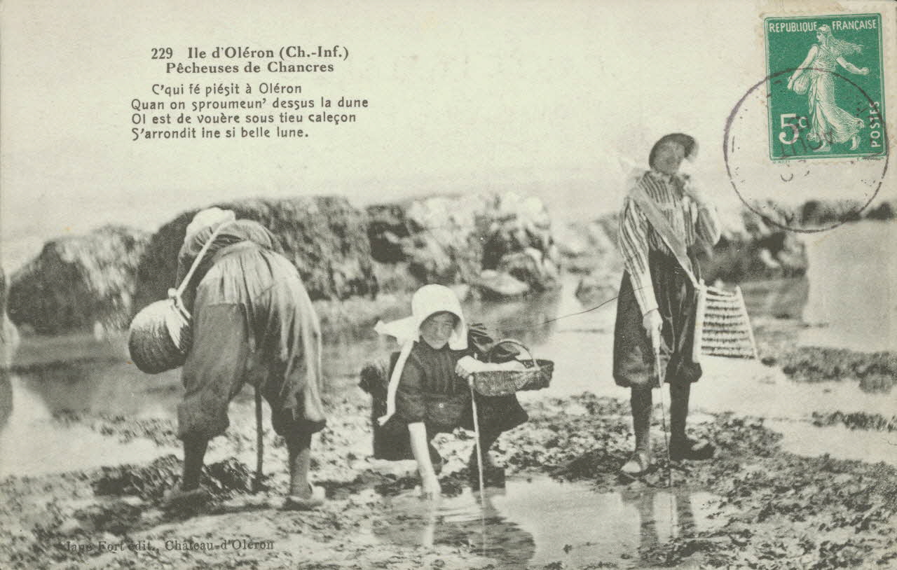 carte postale PECHEUSES DE CHANCRES. ILE D'OLERON Charente-Maritime 1913 010529 Photo