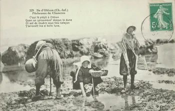 carte postale PECHEUSES DE CHANCRES. ILE D'OLERON Charente-Maritime 1913 010529  Photo