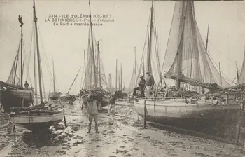 carte postale LA COTINIERE. LE PORT A MAREE BASSE Charente-Maritime 1903-1920 010535  Photo