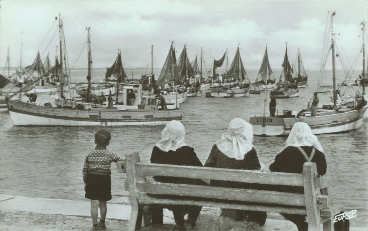 carte postale PORT DE LA COTINIERE Charente-Maritime 1950 010536 Photo