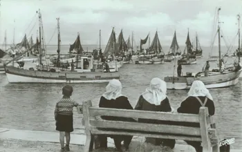 carte postale PORT DE LA COTINIERE Charente-Maritime 1950 010536  Photo